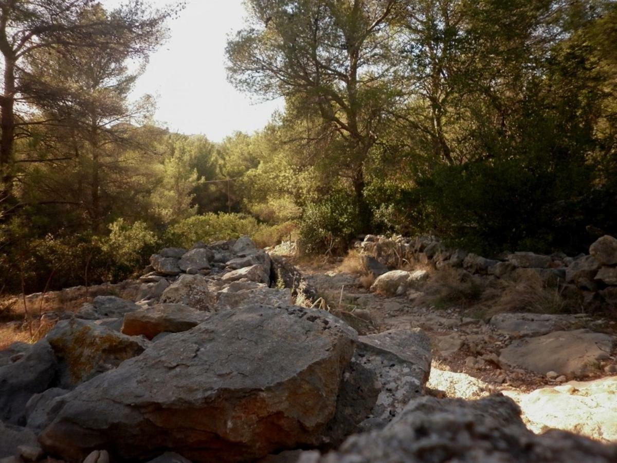 Casa Crystal Daire Jávea Dış mekan fotoğraf